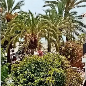 Apartment Old Town, Estepona