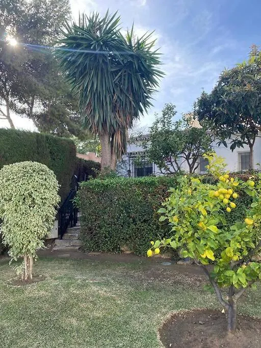 Alquiler Vacacional. Bajo Con Parrilla Y Piscina, Cerca De La Playa Y Puerto Banus Apartment Estepona